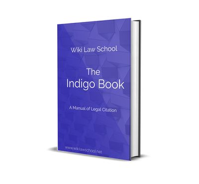 Indigo Book.jpg